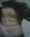bradbery1 photo # 1