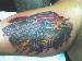 brano_2 photo # 3