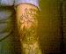 brian_1885 photo # 2