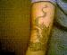 brian_1885 photo # 5