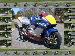 brotekind269 photo # 1
