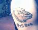 bulldog6801 photo # 2