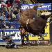 bullrider101 photo # 1