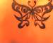 butterfly69 photo # 8