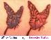 butterfly_82 photo # 7