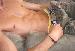 buzzz4 photo # 11