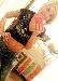 Caitypoo photo # 3