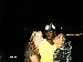 Candice26 photo # 5