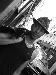 CattleThief photo # 3