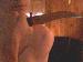 calypso46750 photo # 7