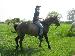 canadacowboy27 photo # 5