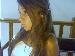 carolana photo #7