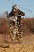 carsmusicman06 photo # 2