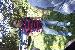 cbizzle_1 photo # 8