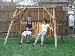 ChEdDeRbOB05 photo # 1