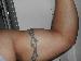 Chespi photo # 3