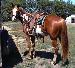 ChevyRodeo24 photo # 9
