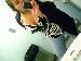 chunkybetch photo # 2