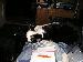 click19 photo # 2