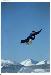 Cody88 photo # 4