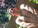 CosmicKing photo # 2