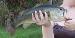 CountryGirl1067 photo # 7