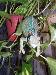 CountryGirl1067 photo # 9