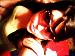 Courtneyblaze photo # 4