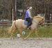 Cowgirlup13 photo # 6