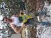 codykville photo # 8