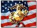 combatvet0607 photo # 1