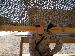 combatvet0607 photo # 7