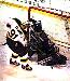 condors91 photo # 4