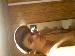 corey08 photo # 1