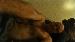 countryboy22 photo # 1
