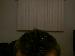 CrazyPUTzor photo # 6