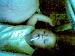 cr8sh69 photo # 4