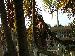 CuteChris123 photo # 1