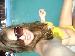 cutebrunette12 photo #11