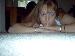 DAWN25420 photo # 2