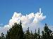 darman123 photo # 1