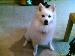 davi0812 photo # 2