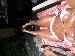 ddawnmarie35 photo # 1