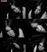 DeathVanity photo # 7