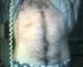 Devildude2098 photo # 3
