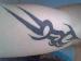 defenitious photo # 4