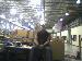 dense_187 photo # 8