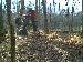 DirtDemonFX photo # 4