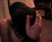 diamond_ladi photo # 4