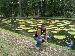 digitarious photo # 10